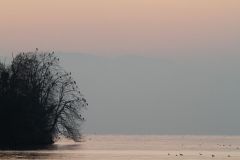 Paysage Lac Léman