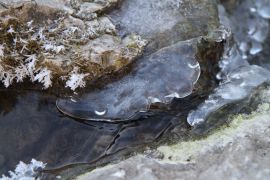 Paysage de glace - Lac vallon