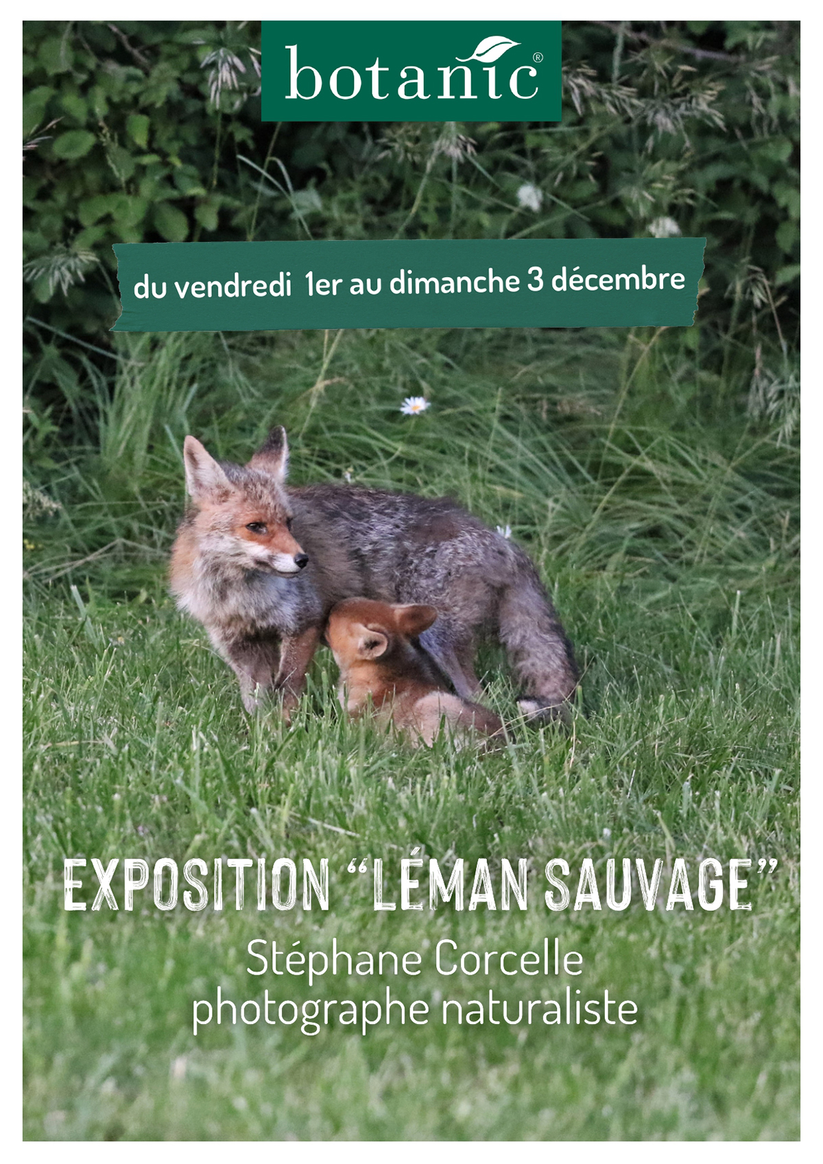 images/expos/expo-leman-sauvage-botanic.jpg