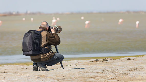 Photographe naturaliste en Haute-Savoie