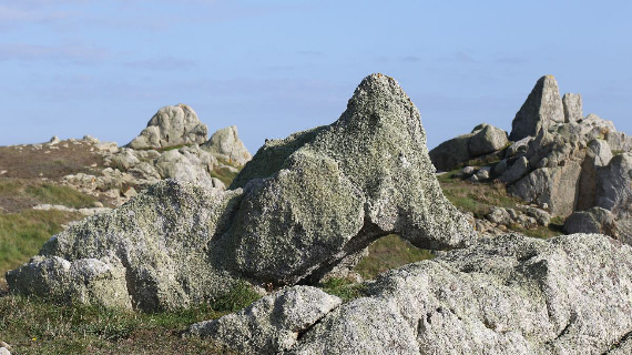 Photos prises lors d'un séjour sur l'ile de Ouessant